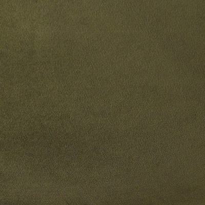Olive swatch